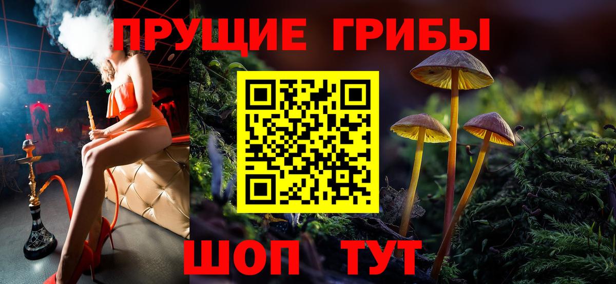 Псилоцибиновые грибы GOLDEN TEACHER Кизилюрт