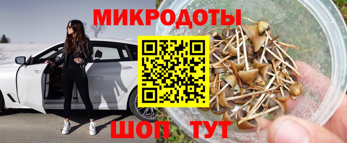 Кизилюрт  Галлюциногенные грибы мицелий  Вход с VPN  Псилоцибиновые грибы Psilocybine cubensis 